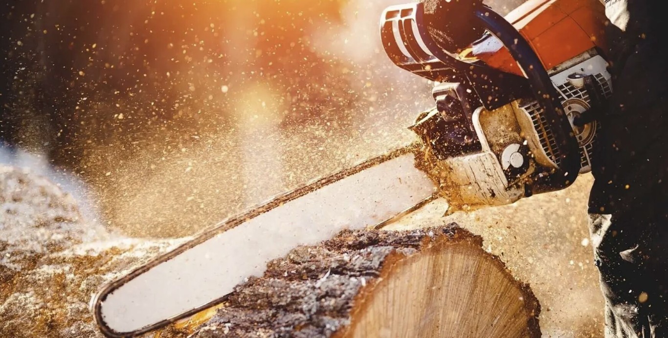 Professional chainsaw cutting tree log in Dale City, VA